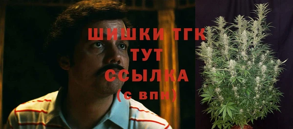 метадон Елизово
