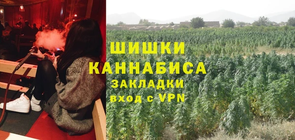метадон Елизово