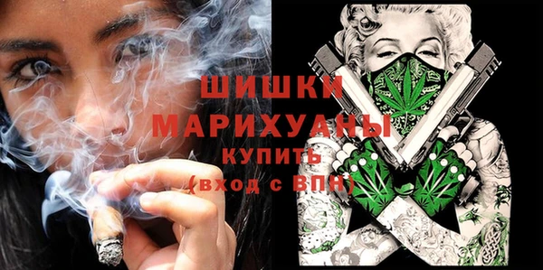 метадон Елизово