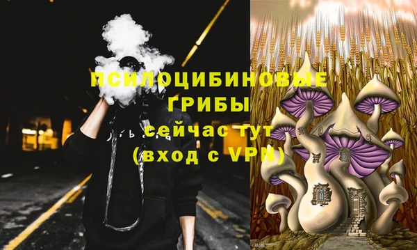 бутират Ельня