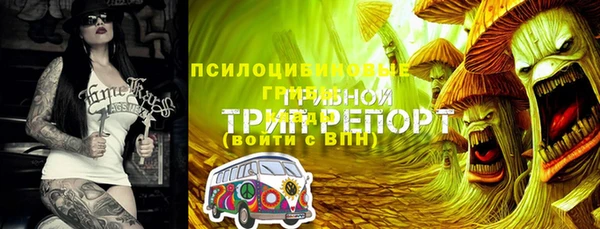 бутират Ельня
