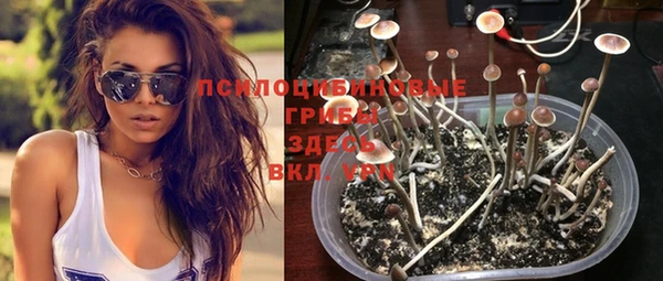 метадон Елизово