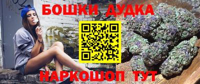 стаф Нальчик