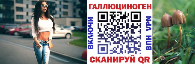 Галлюциногенные грибы Psilocybe  Купить закладки  Звенигород 