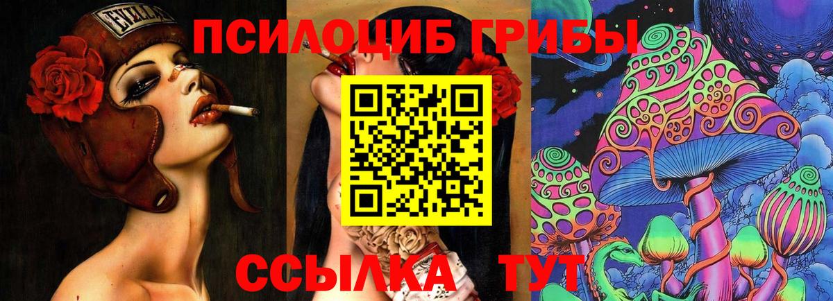 Галлюциногенные грибы прущие грибы Звенигород