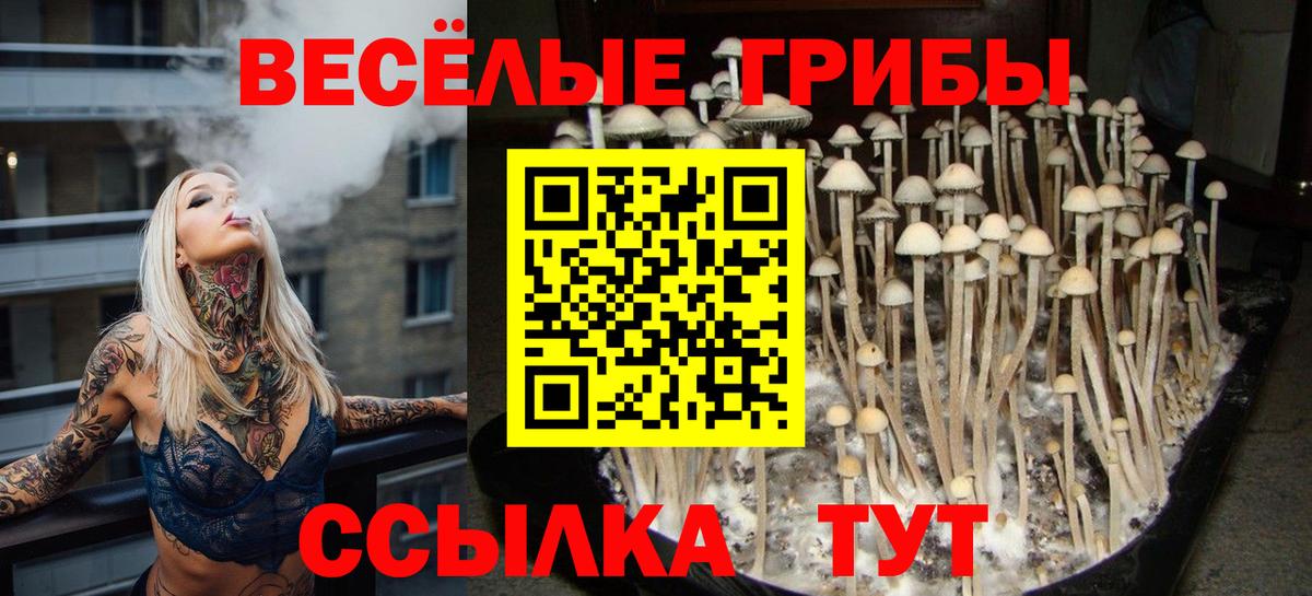 Псилоцибиновые грибы мухоморы  Звенигород 