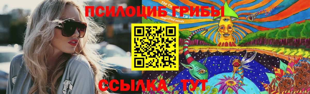 Галлюциногенные грибы Psilocybe Звенигород