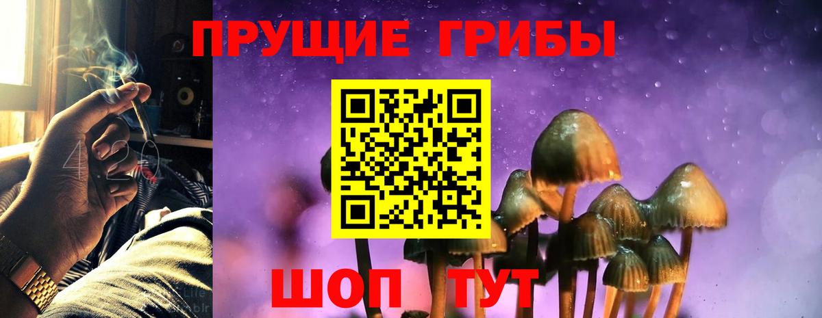Псилоцибиновые грибы MAGIC MUSHROOMS  Вход с VPN  где найти наркотики  Звенигород 