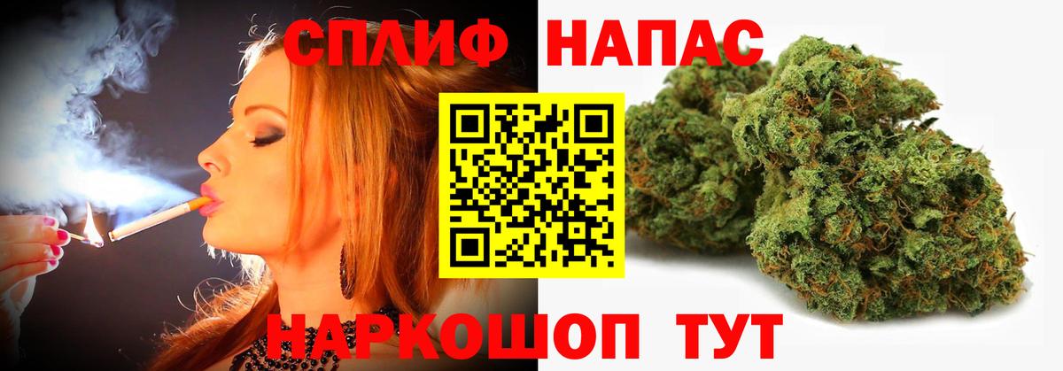 Каннабис план Звенигород